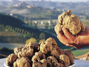 tartufo